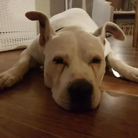 Bed & Breakfast Bellagio Bed & Breakfast Bellagio