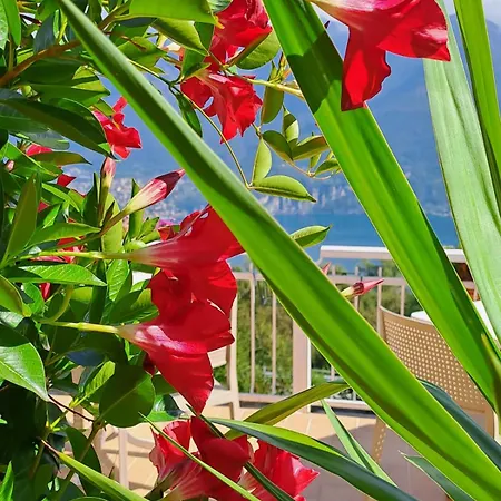 Bed & Breakfast Bed & Breakfast Bellagio Bellagio