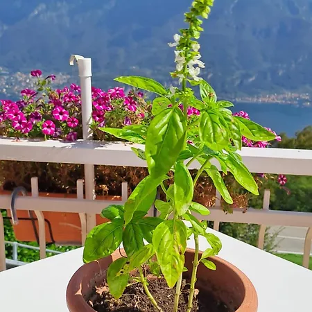 Bed & Breakfast Bellagio 2* 벨라지오