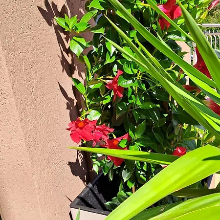 Bed & Breakfast Bellagio Bellagio