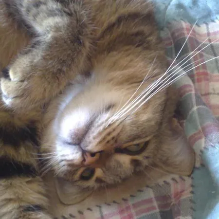 Oda ve Kahvaltı Bed & Breakfast Bellagio