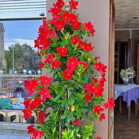 Oda ve Kahvaltı Bed & Breakfast Bellagio Bellagio