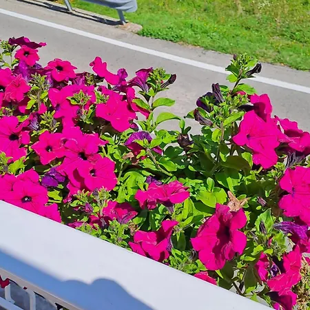 Bed & Breakfast Bellagio