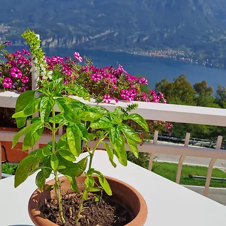 Bed&Breakfast Bellagio Frühstückspension Bellagio