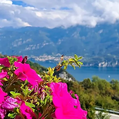 Frühstückspension Bed&Breakfast Bellagio 3*