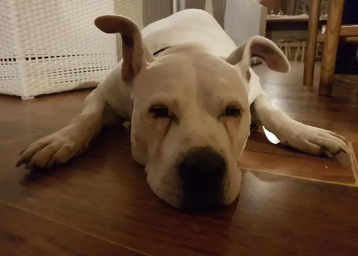 Bed & Breakfast Bellagio Отель типа 