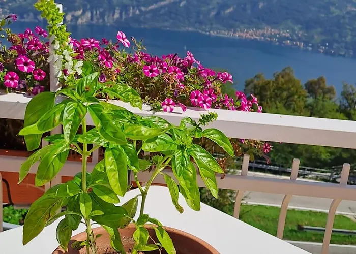 Bed & Breakfast Bellagio Отель типа 