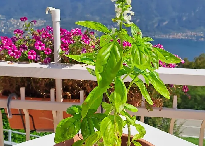 Bed&Breakfast Bellagio 3* Bellagio