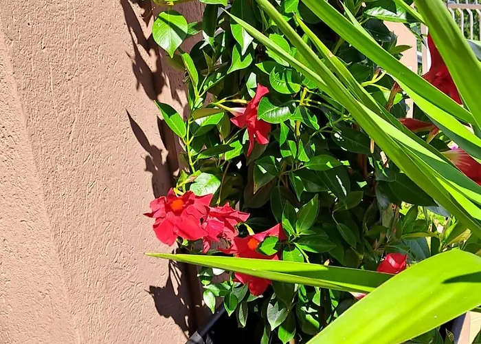 Bed & Breakfast Bellagio Белладжо