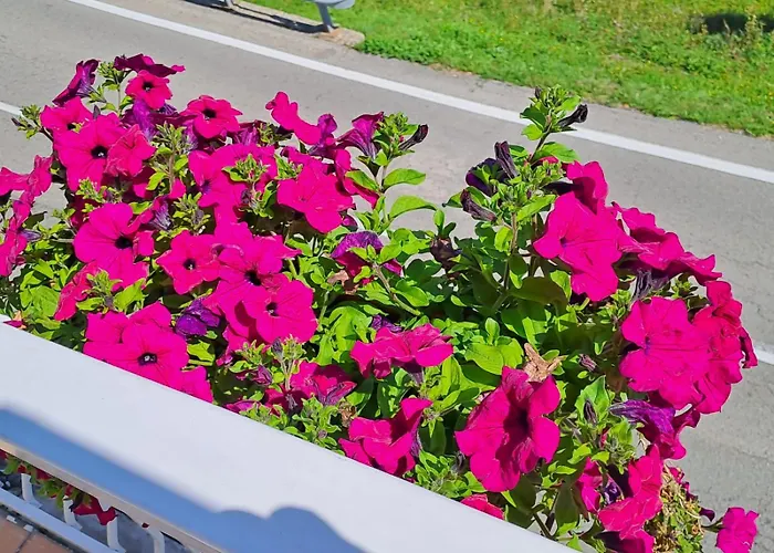 Bed & Breakfast Bellagio