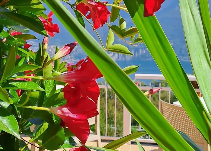 Bed & Breakfast Bed & Breakfast Bellagio Bellagio
