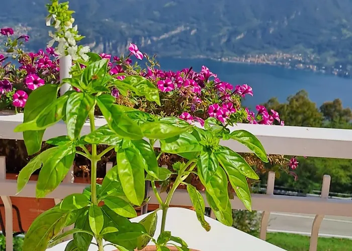Bed & Breakfast Bellagio Bed & Breakfast Bellagio
