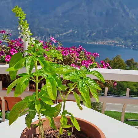 Bed & Breakfast Bellagio B&B 벨라지오